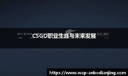CSGO职业生涯与未来发展